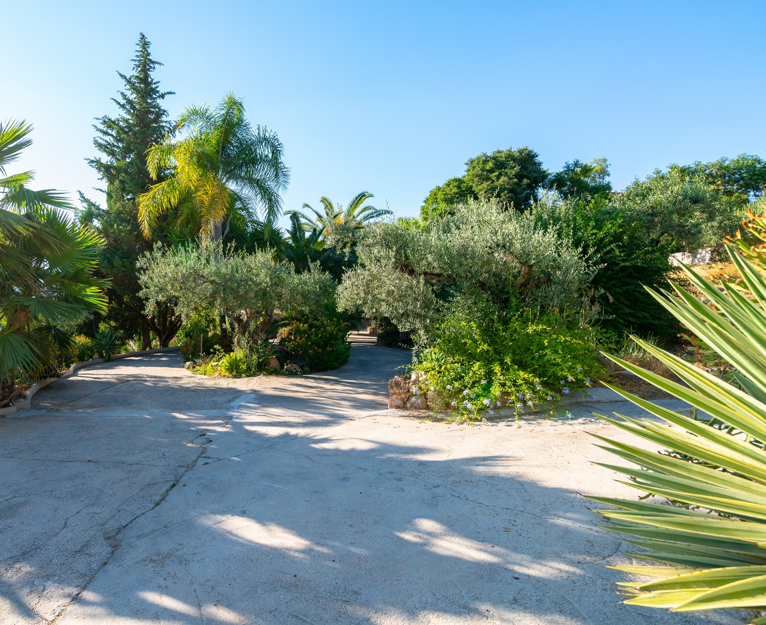 Driveway