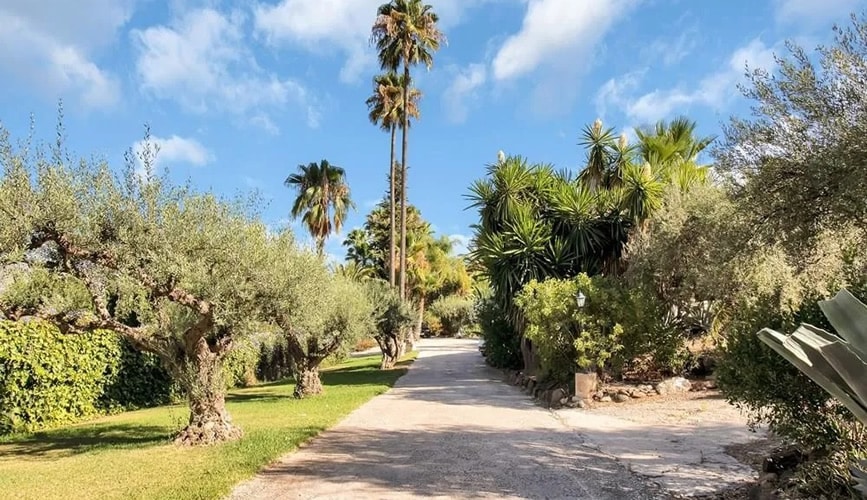 Driveway