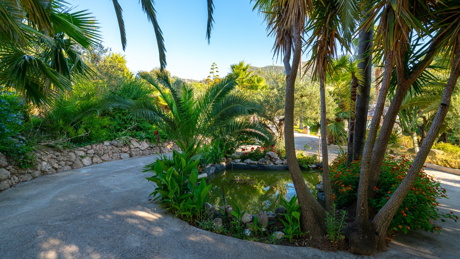 Fish Pond
