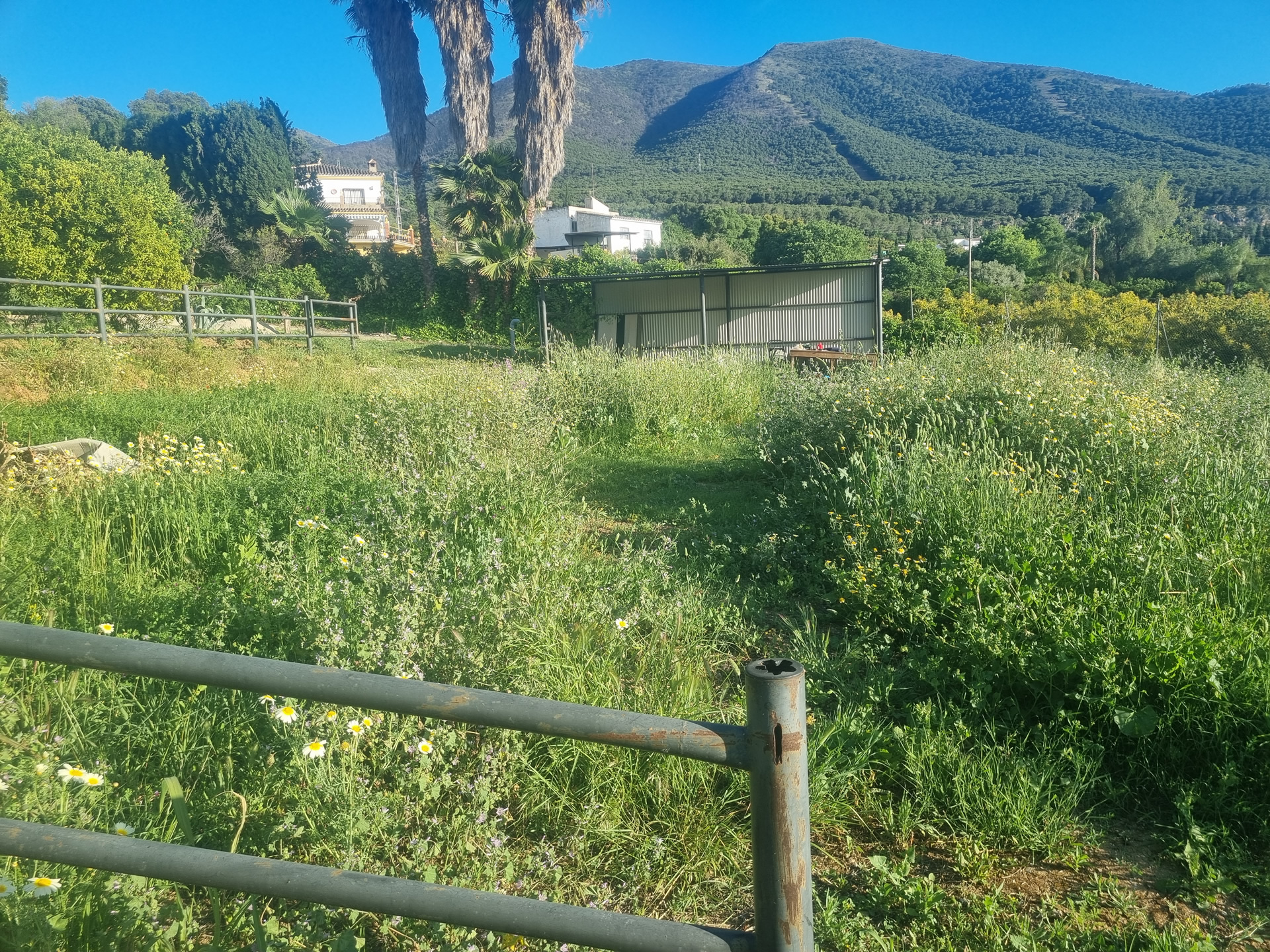 Paddock & Field Shelter