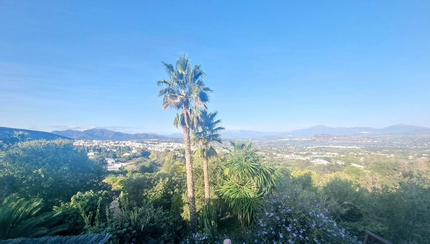 Panoramic View