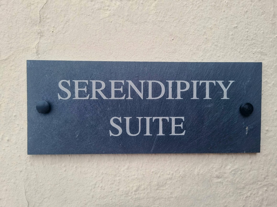 Serendipity Sign
