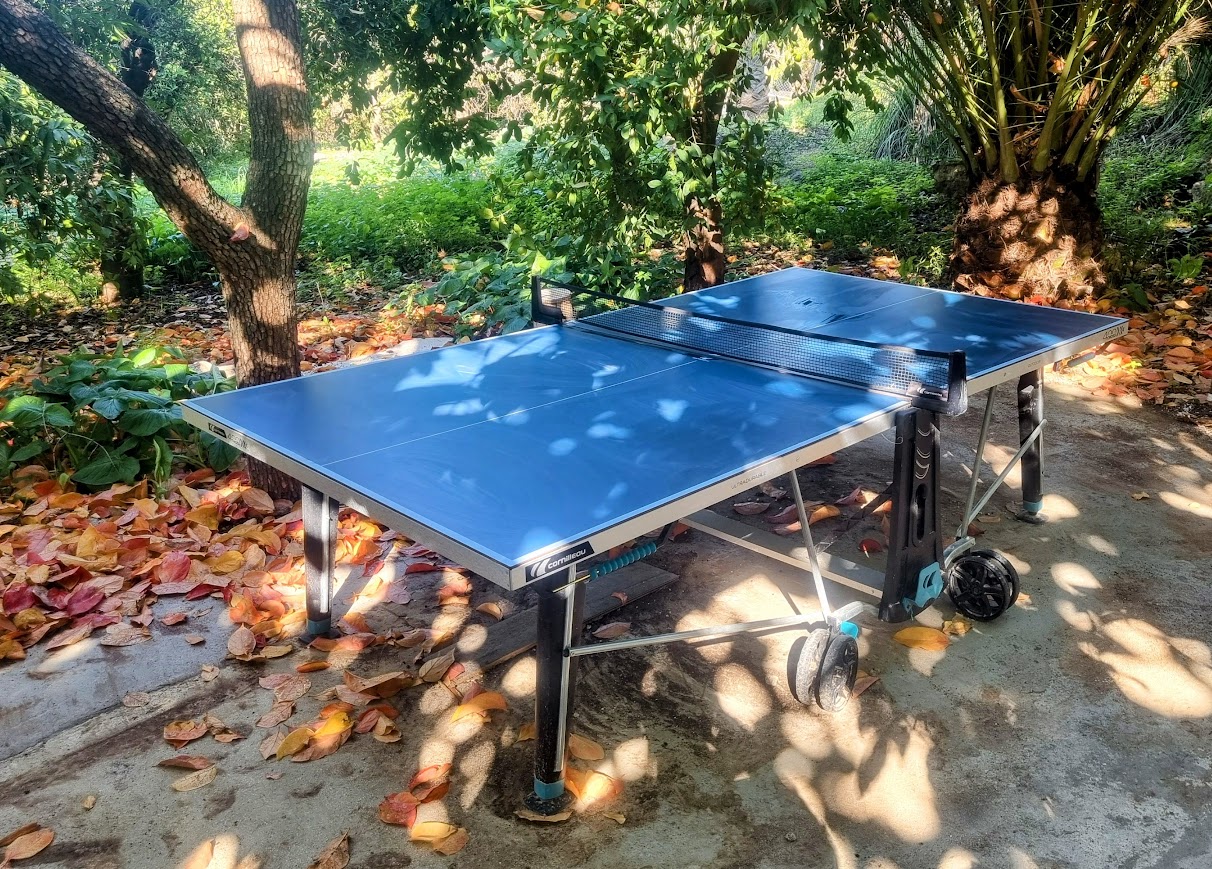 Table Tennis